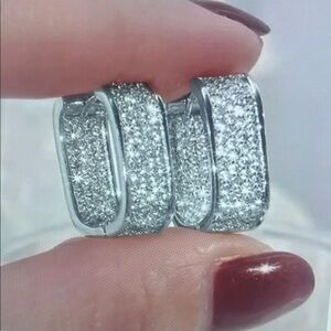 Elegant Silver Hoop Earrings